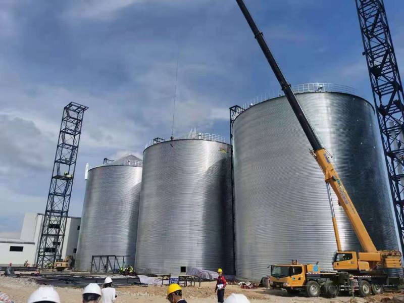 16265115012663.jpg 800.jpg