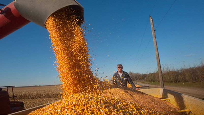 16475821747000.png 1111.png