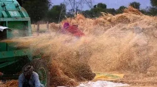 16620269168846.jpg 1.jpg